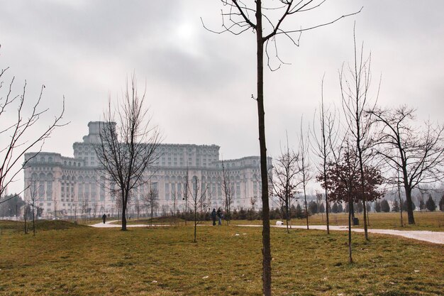 Które poznańskie forum ślubne wybierają przyszłe panny młode?
